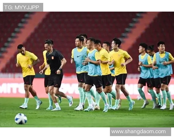 上海网球队以74分领跑世锦赛积分榜展现强劲实力